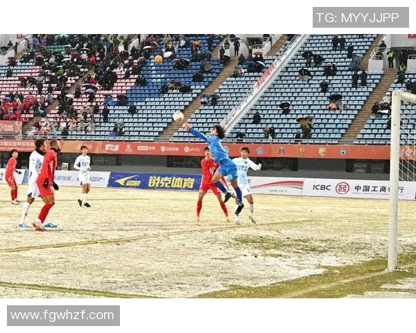 上海足球队在锦标赛中的速度优势与战术解析