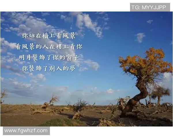 深度对话杨芳排球人生的追求与坚持探索 深度对话杨芳排球人生的追求与坚持探索