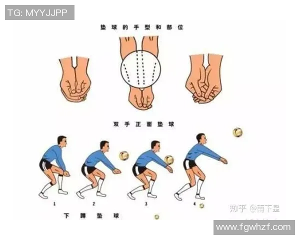 南京排球队防守策略全解析深度剖析排球技艺与团队协作的完美结合 南京排球队防守策略全解析深度剖析排球技艺与团队协作的完美结合