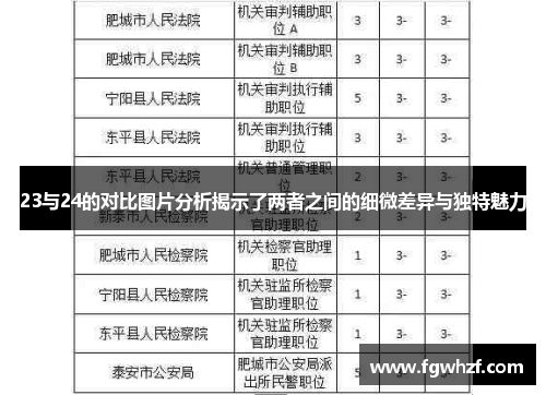 23与24的对比图片分析揭示了两者之间的细微差异与独特魅力