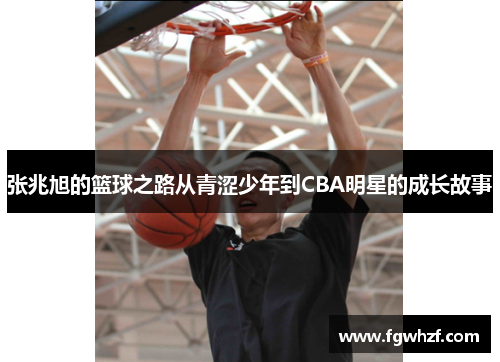 张兆旭的篮球之路从青涩少年到CBA明星的成长故事